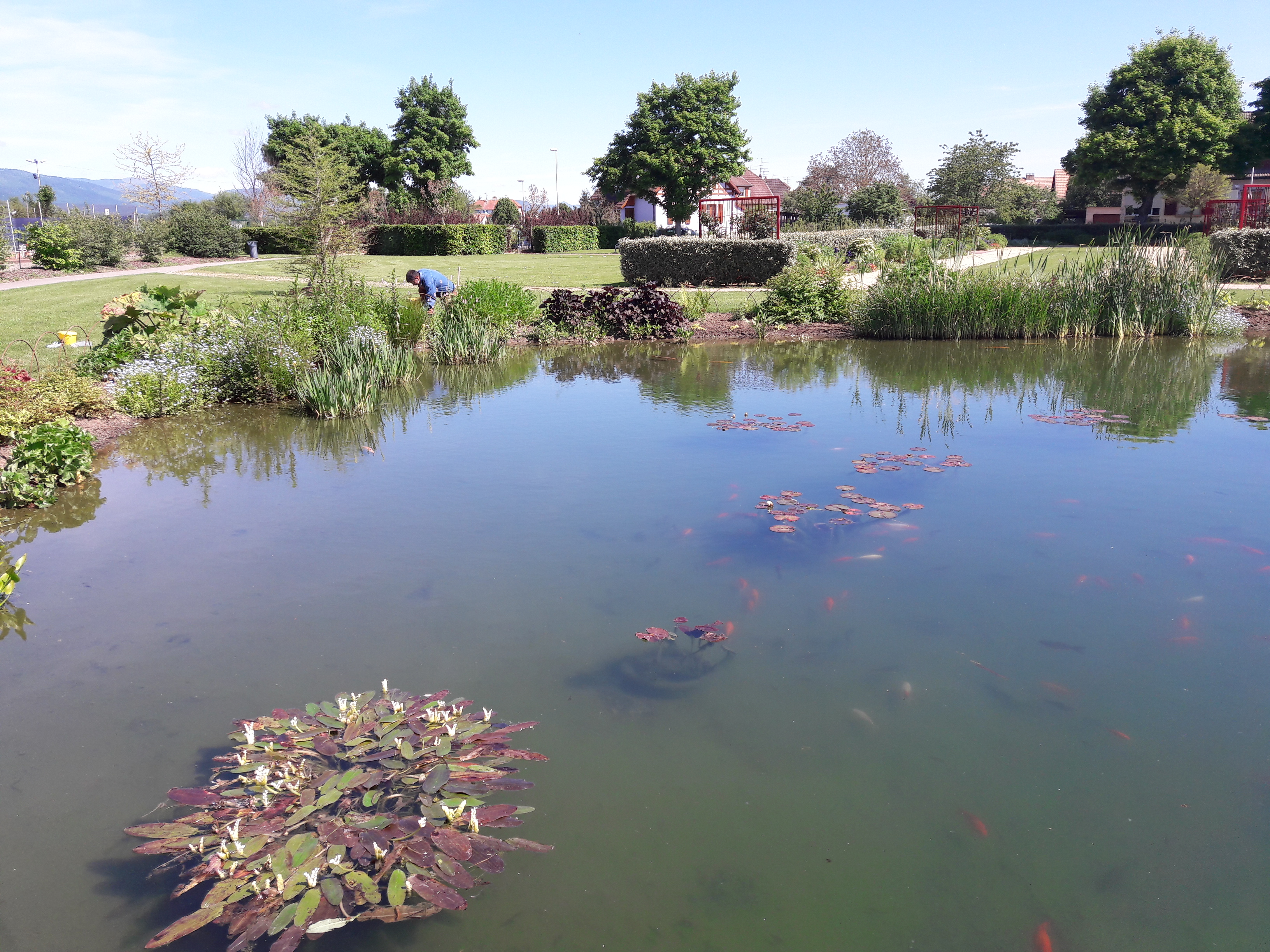 2017Wittelsheim Le Parc des Jardins du Monde 3