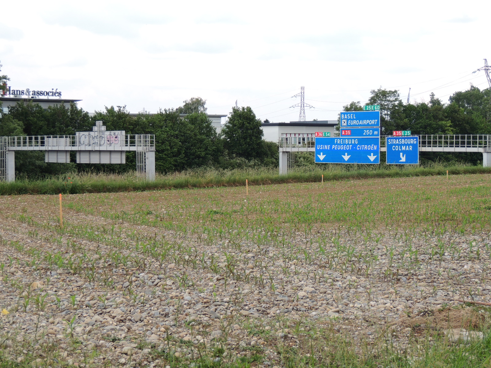 2018Sausheim vue depuis Mc Donald