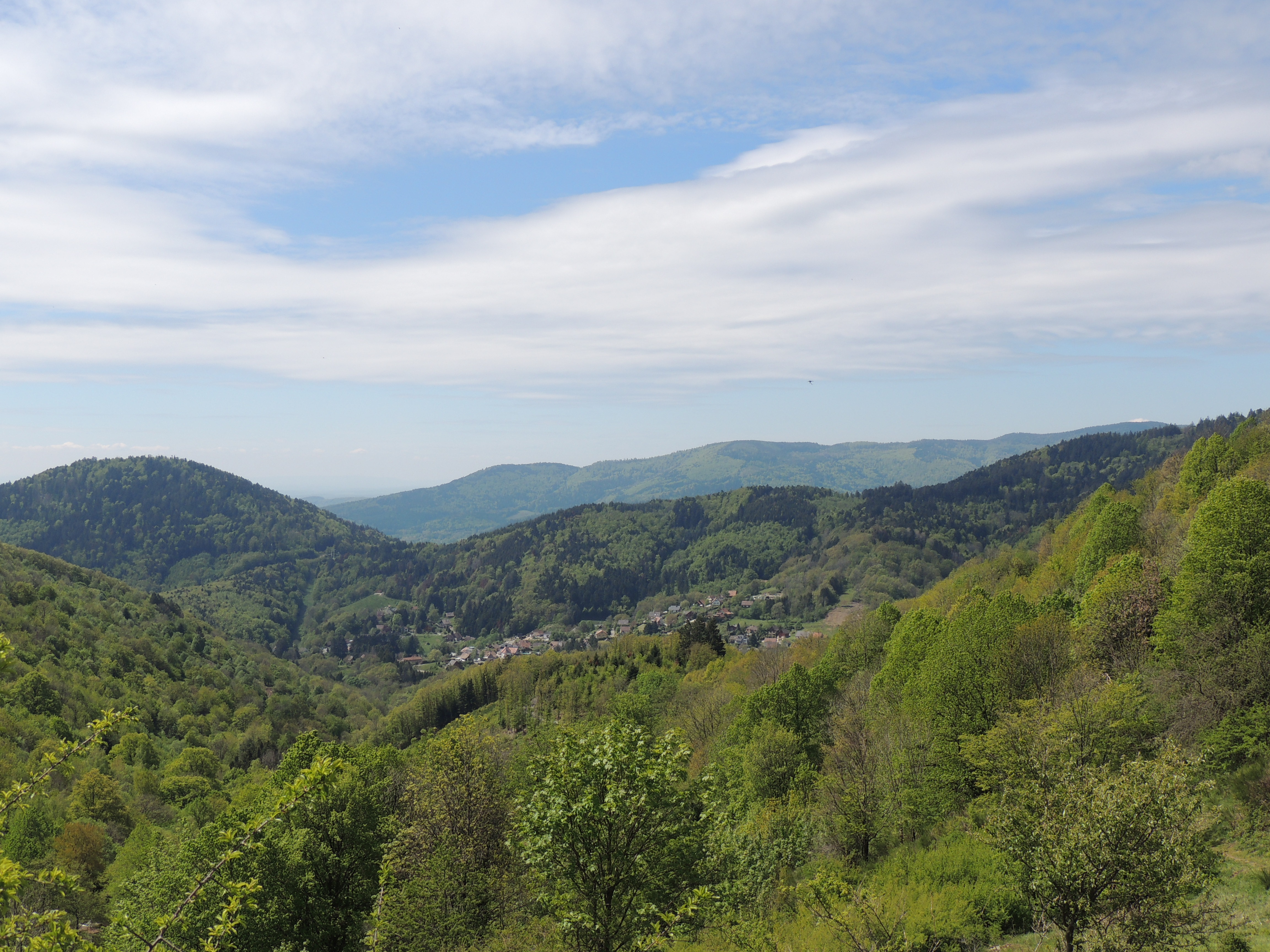 2019 Bourbach-Le-Haut Collines