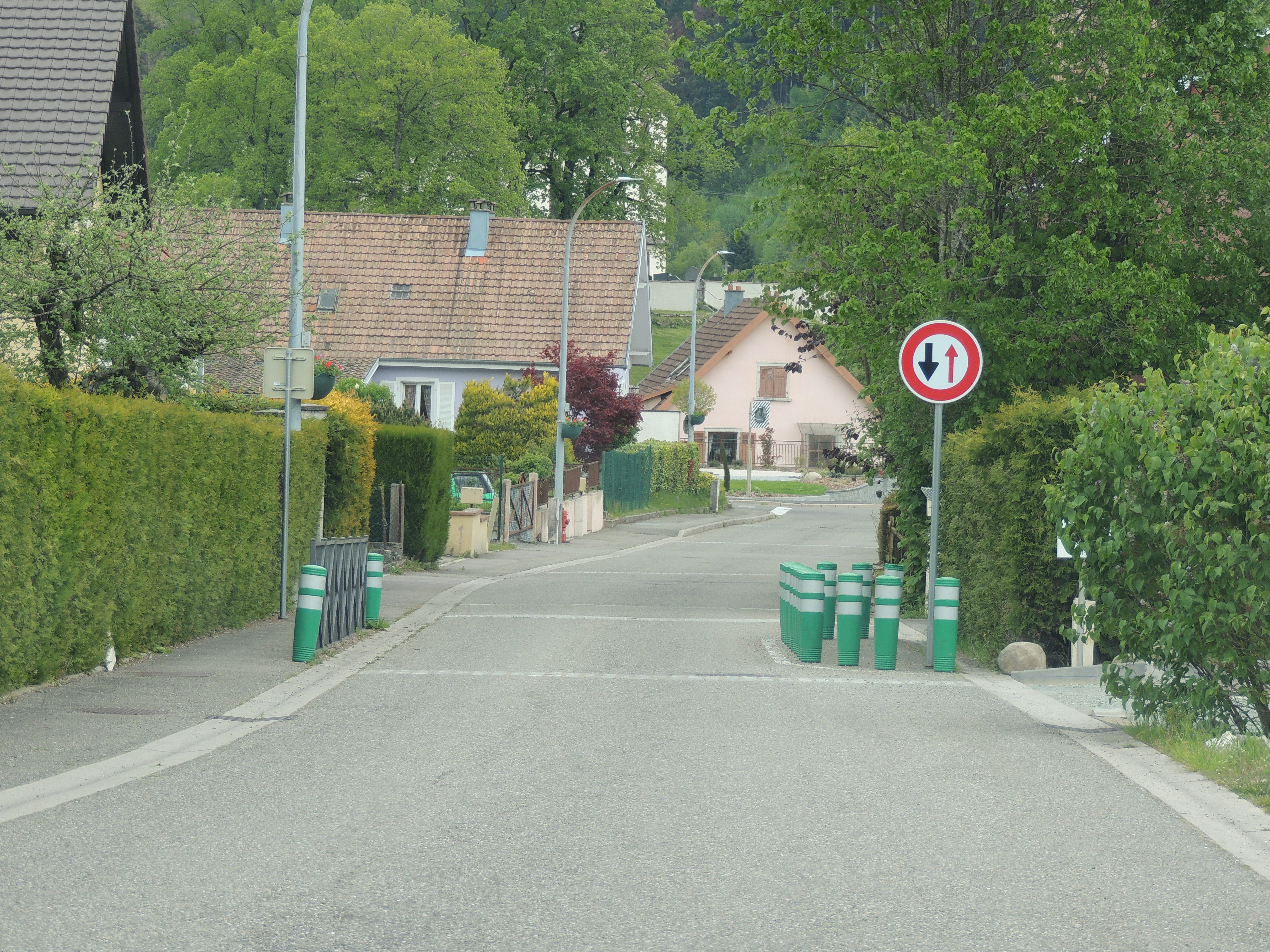 2019 Kirchberg Rue hecken