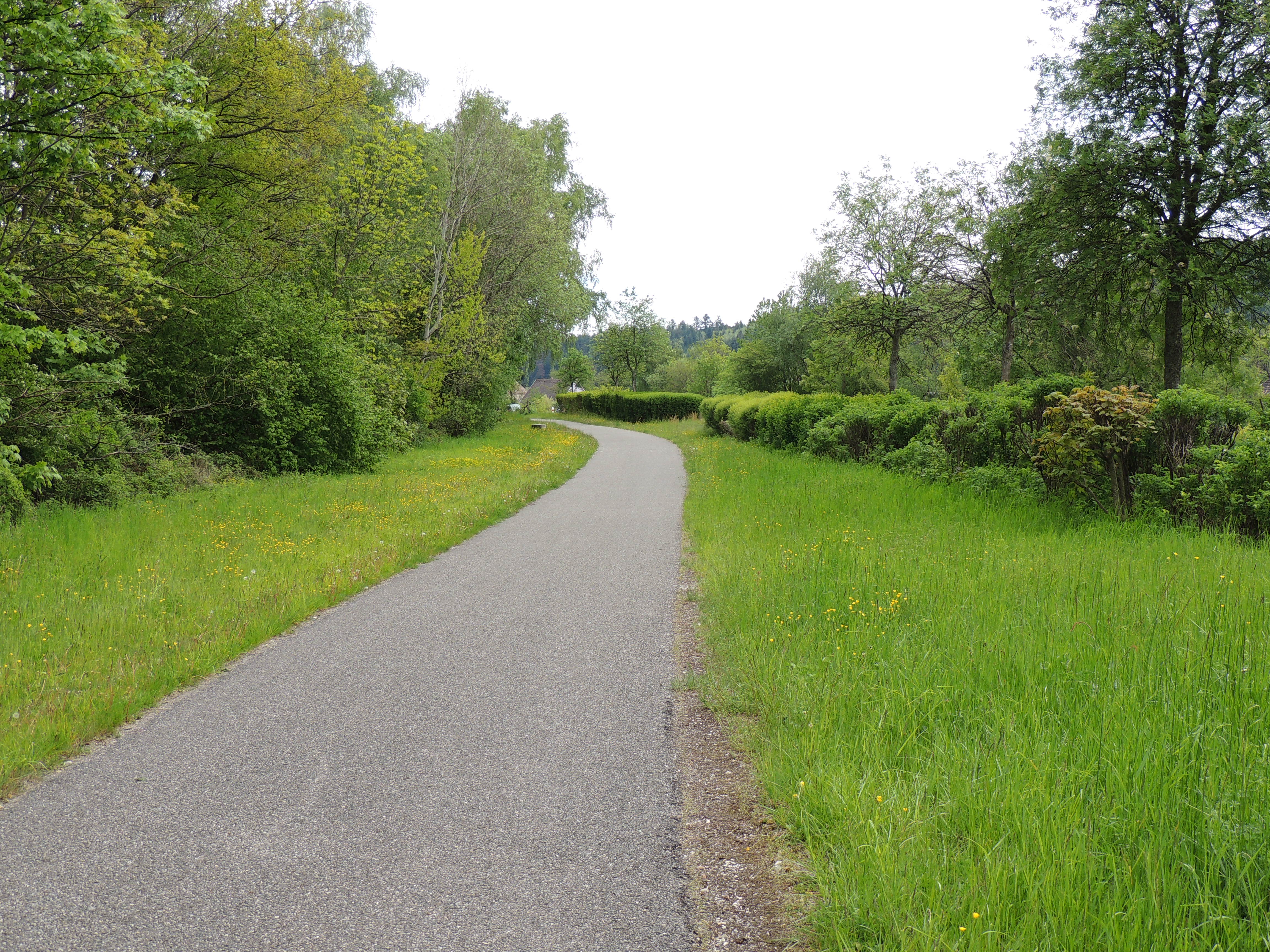 2019 Niederbruck Voie cyclable Tréfimétaux