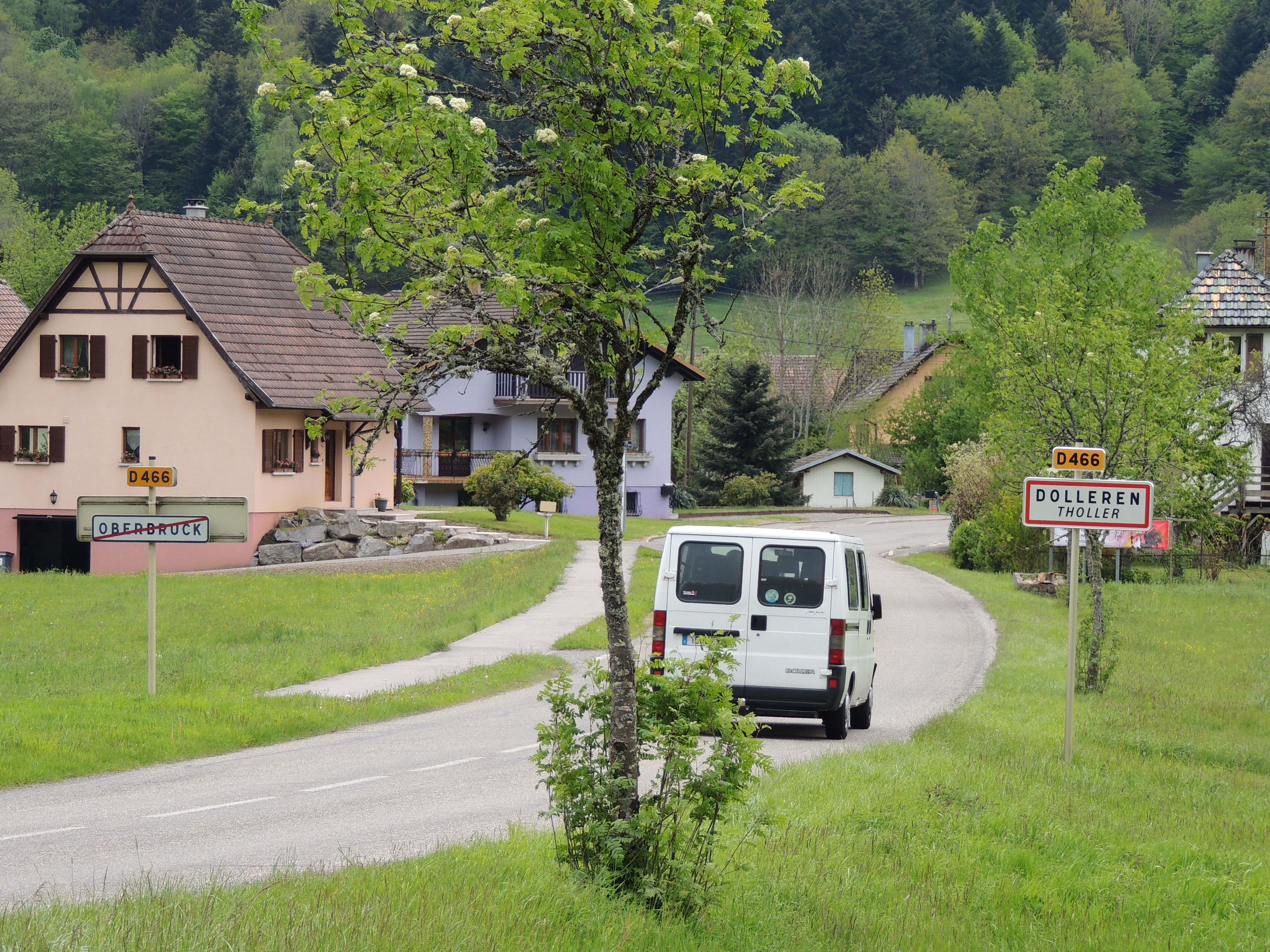 2019 Oberbruck Dolleren Continuité