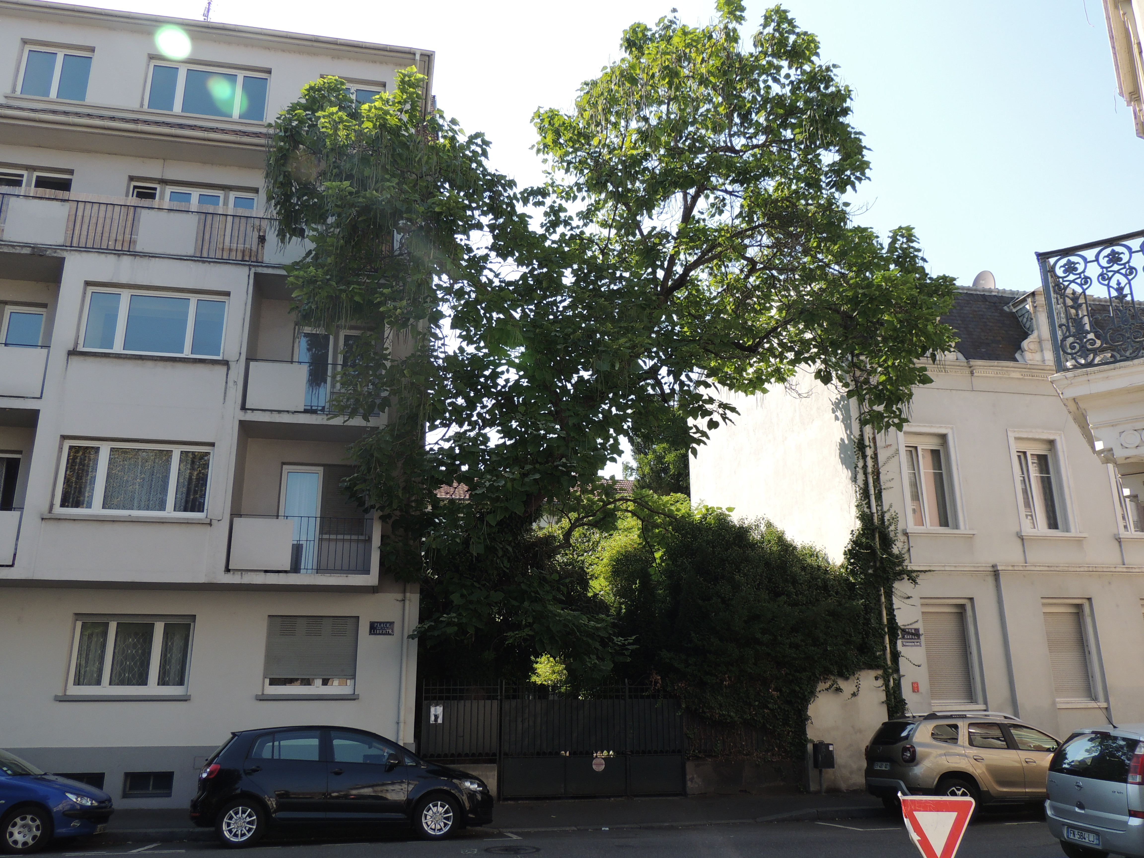 2020 Mulhouse Nature en ville rue Saule1