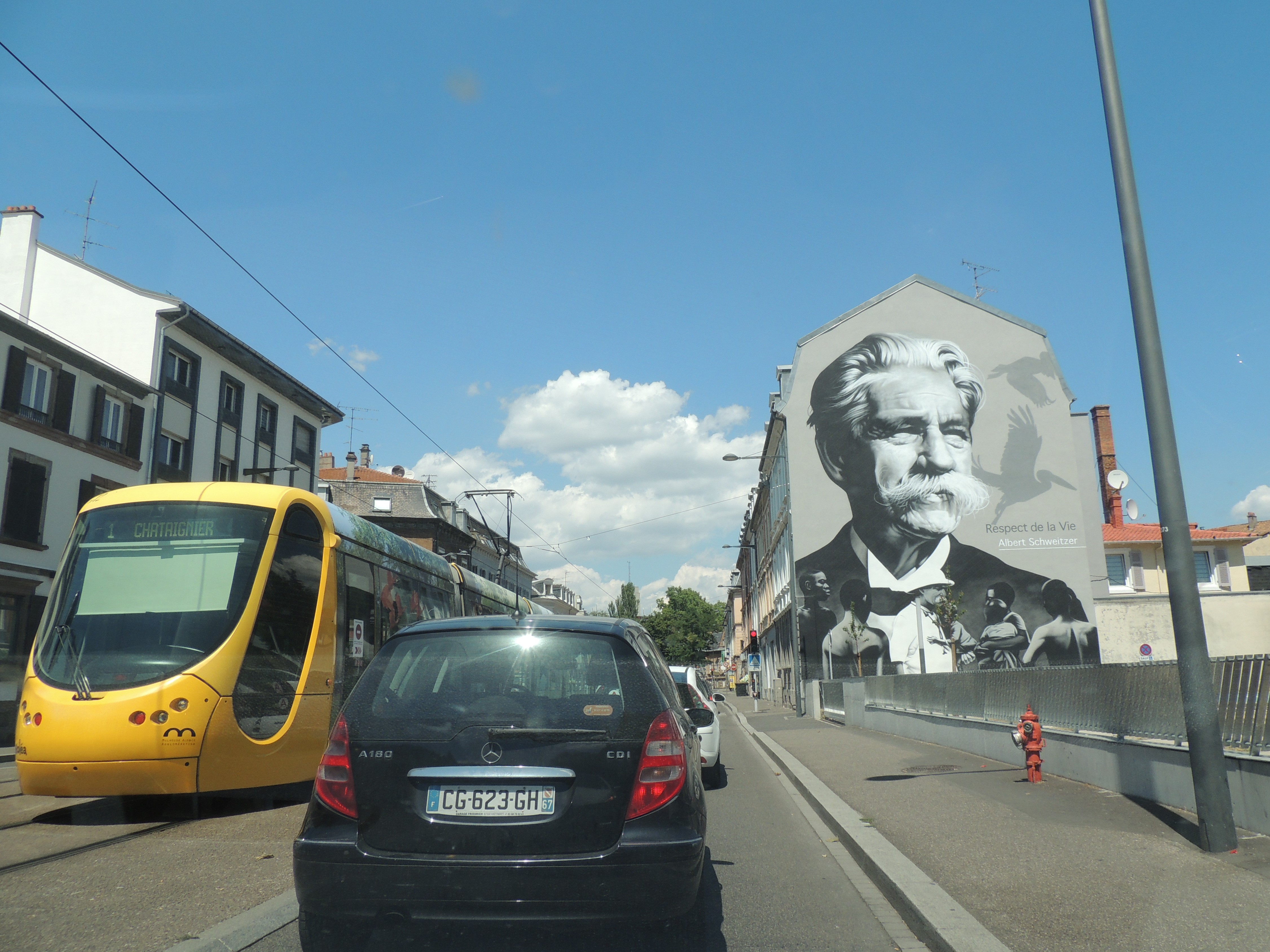 2020 Mulhouse tram voiture fresque