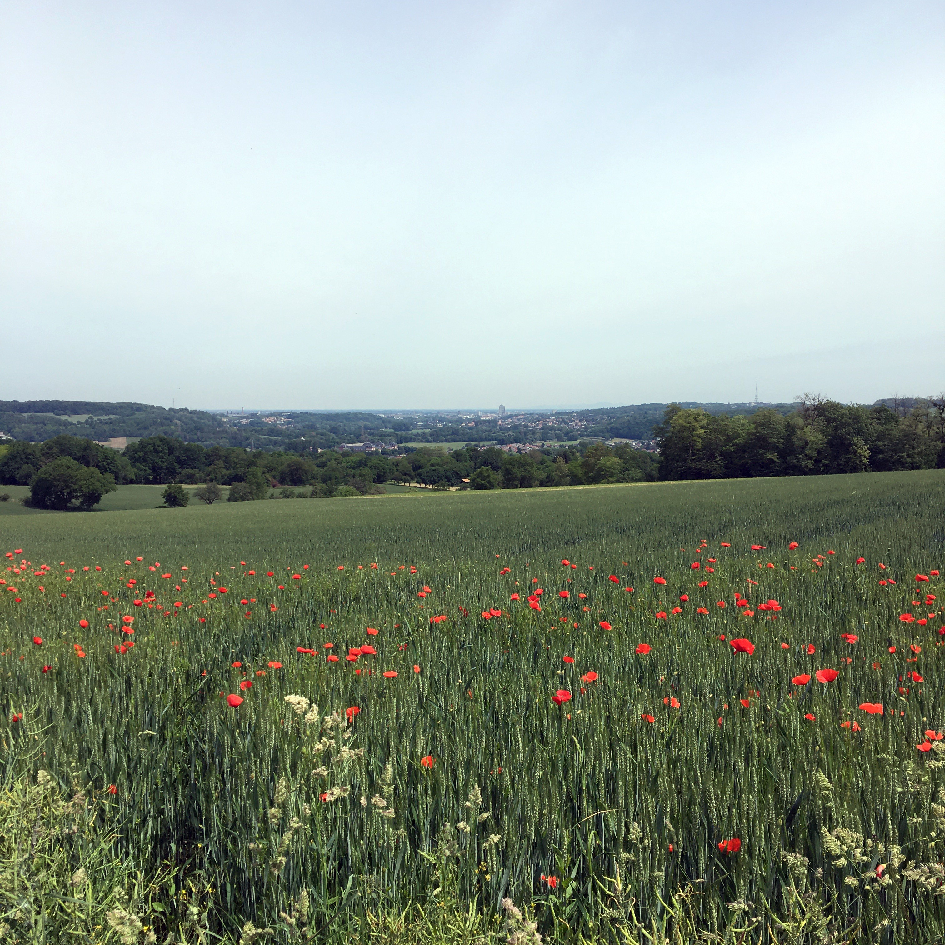 2020 Zillisheim vueMulhouse