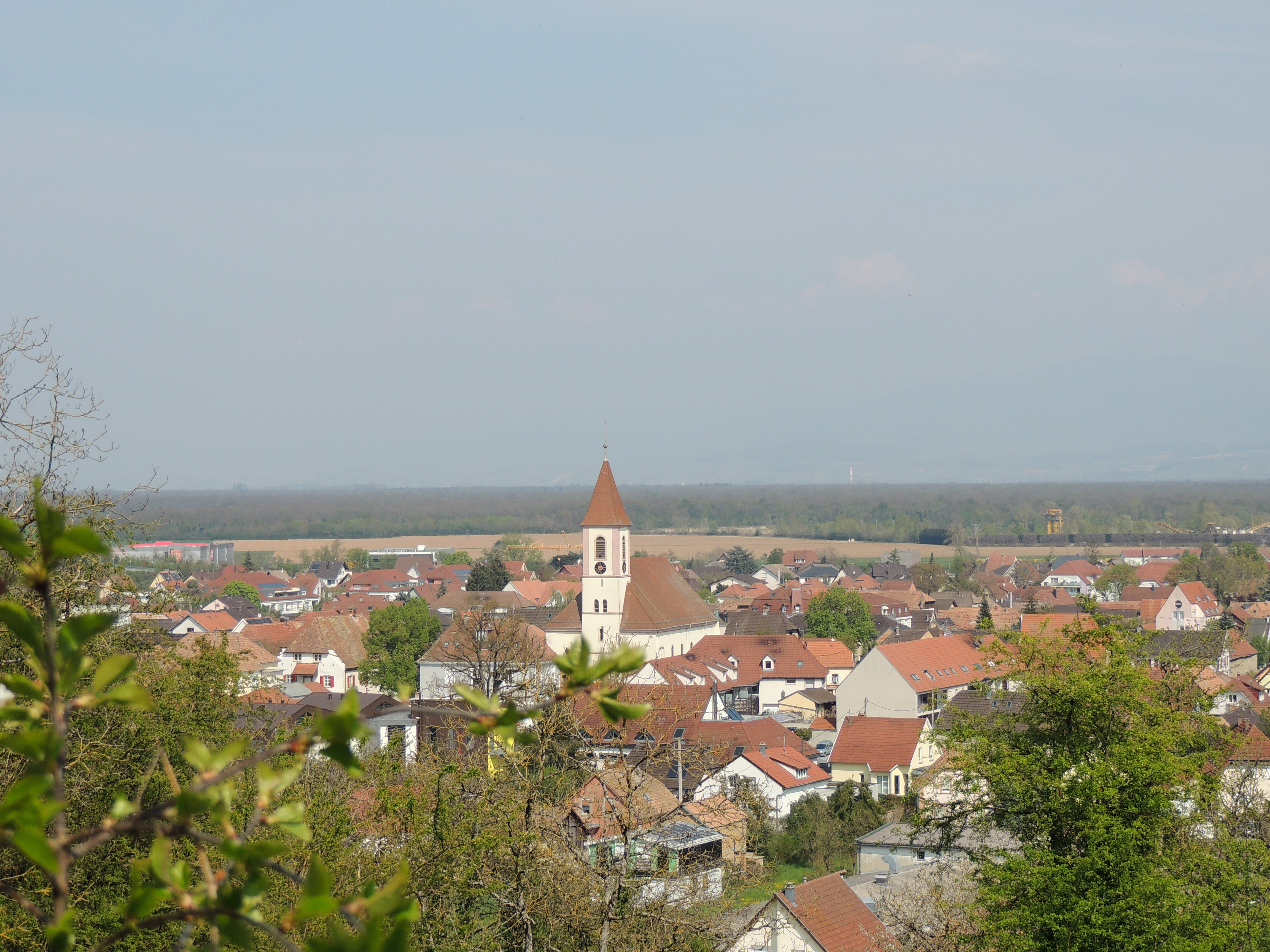 2021 Habsheim collines5