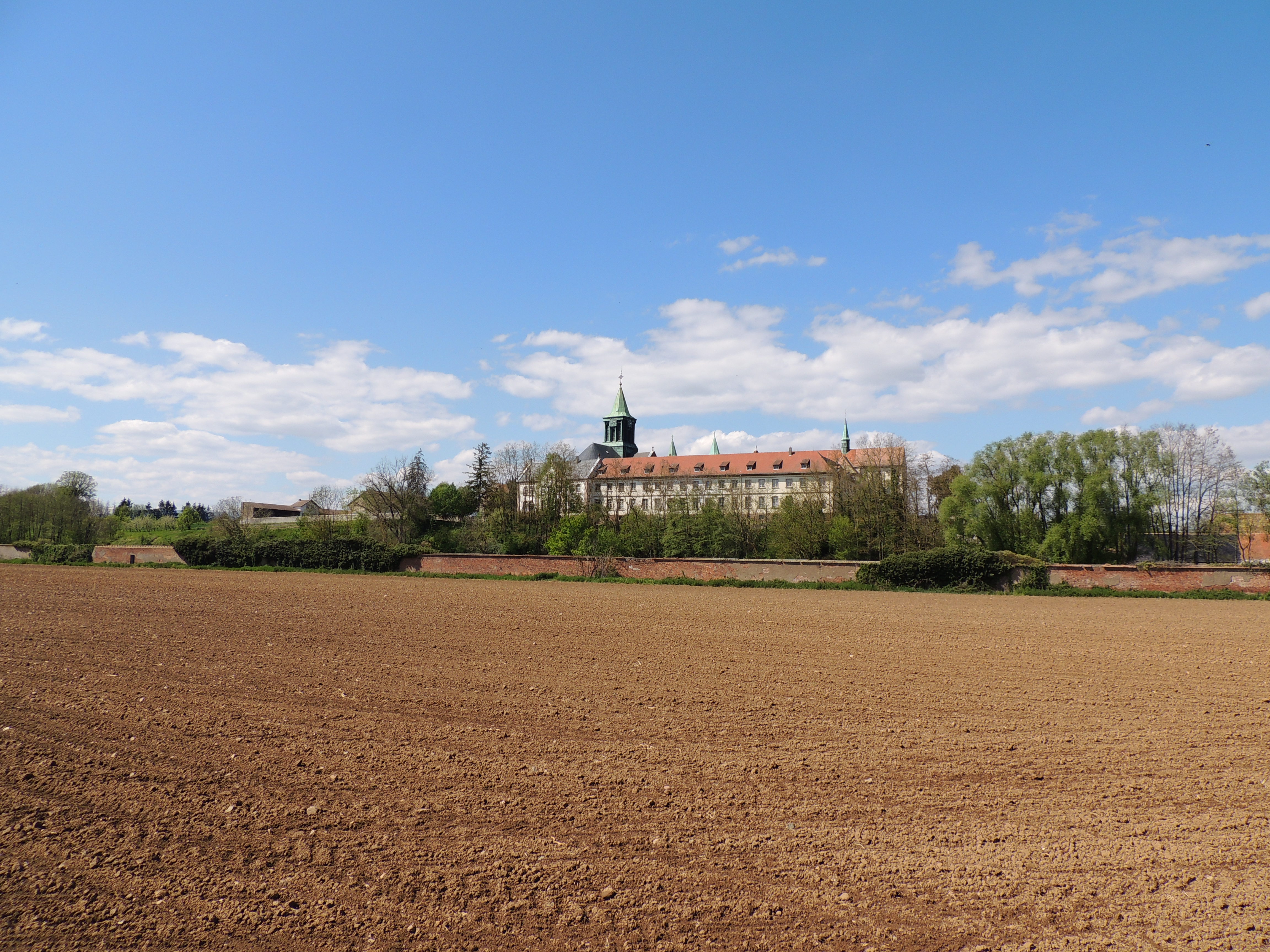 2021 Reiningue Olenberg5