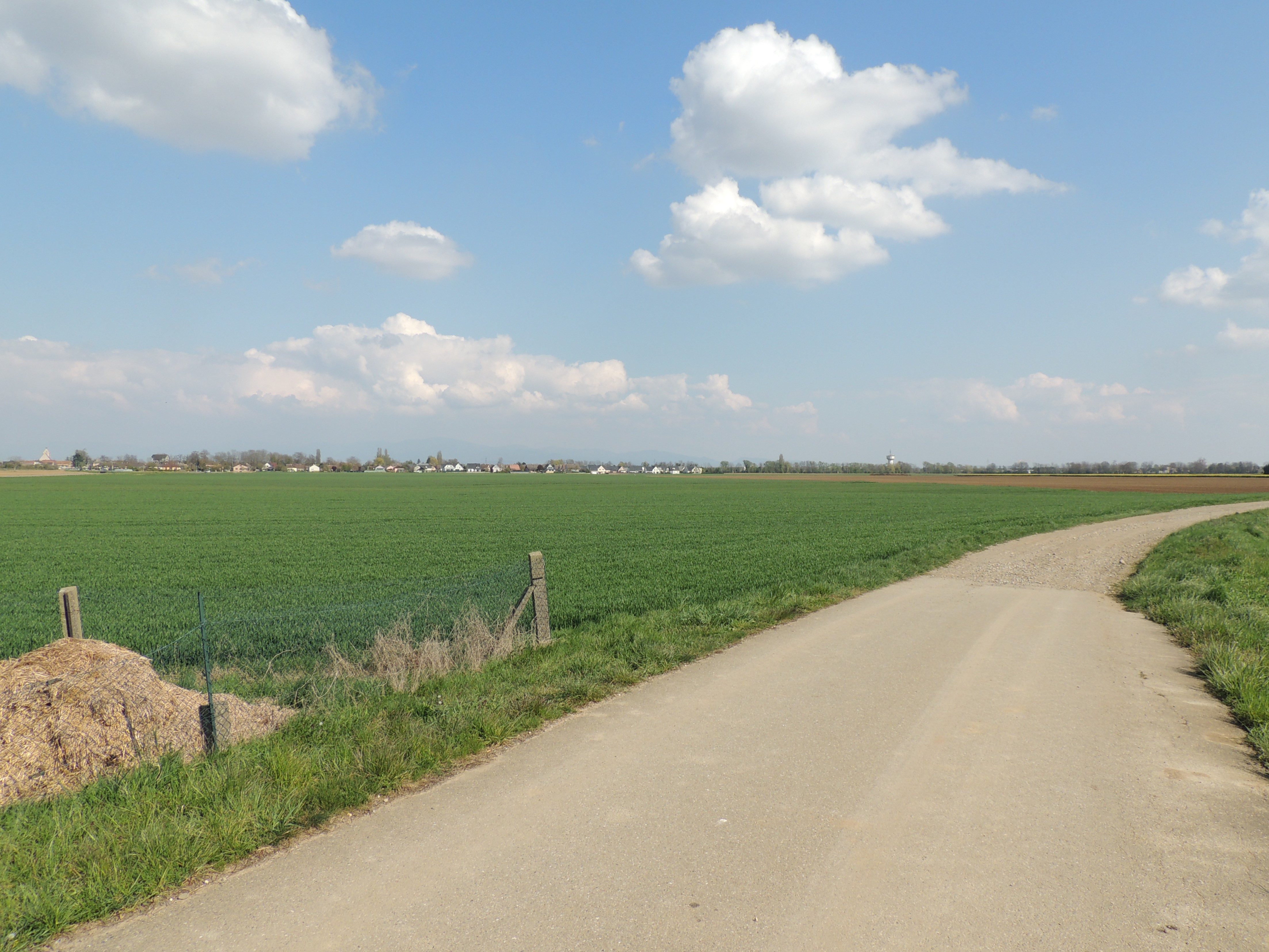 2021 Ruelisheim piste cyclable