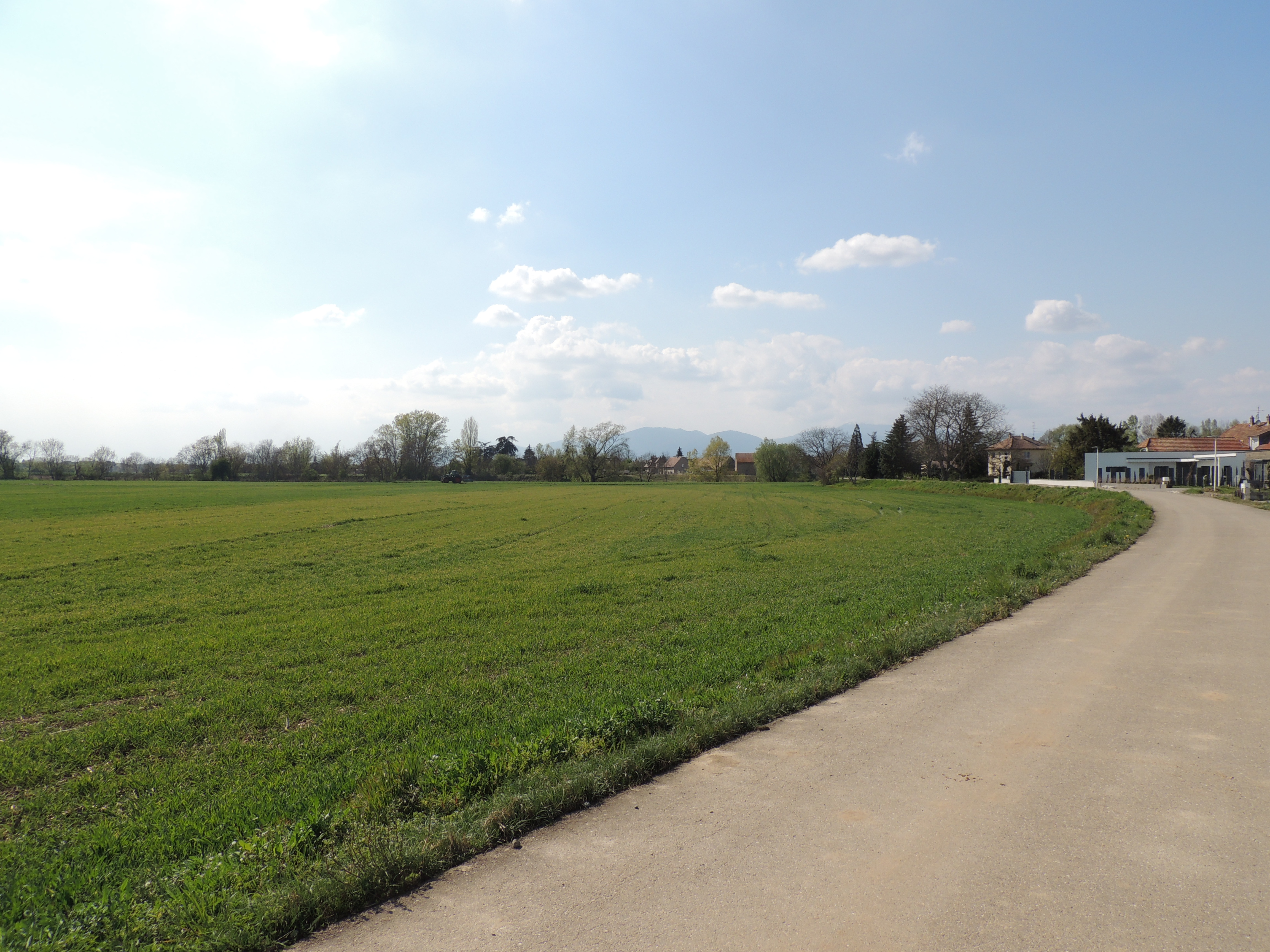 2021 Ruelisheim piste cyclable3