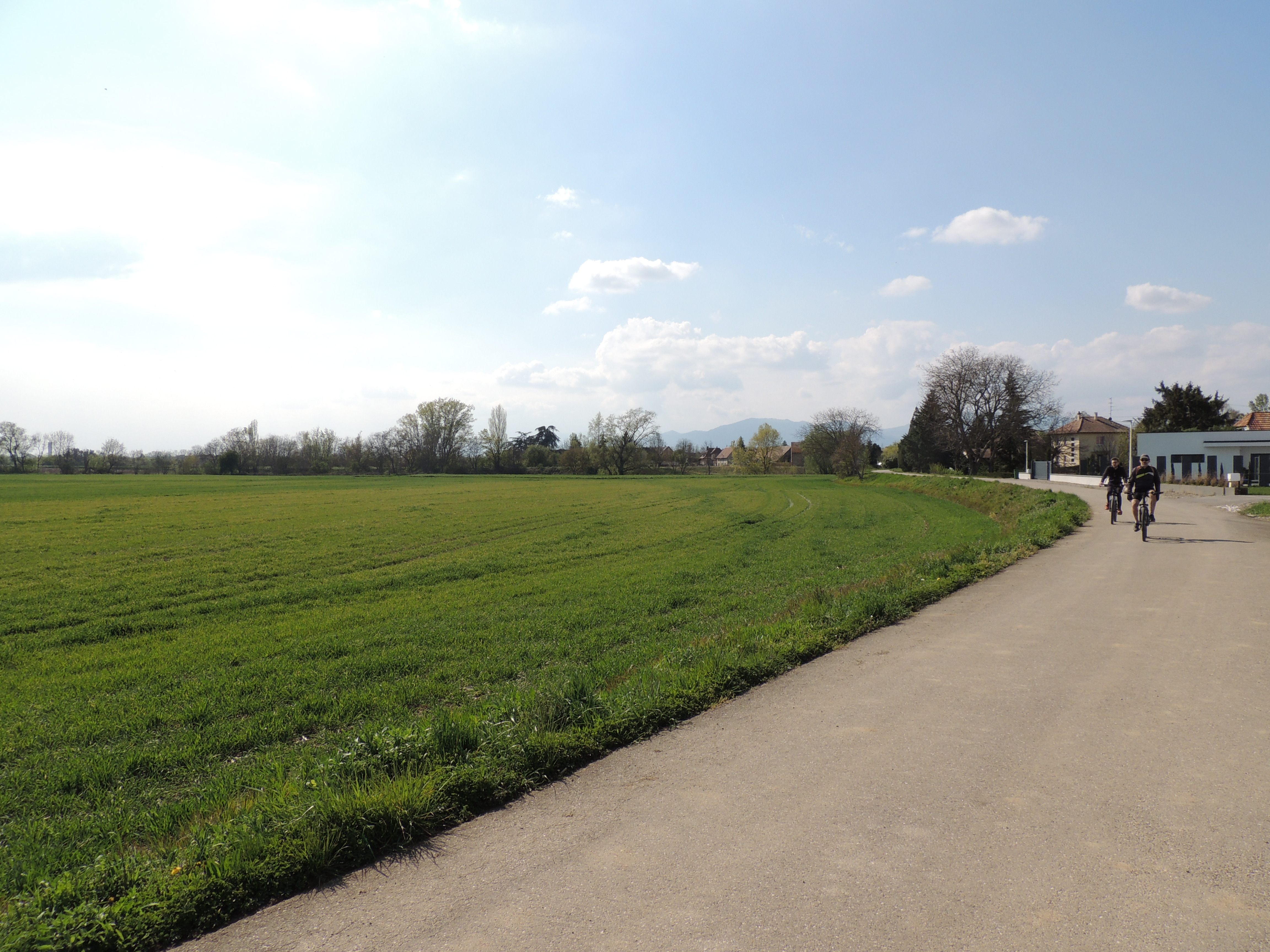 2021 Ruelisheim piste cyclable5