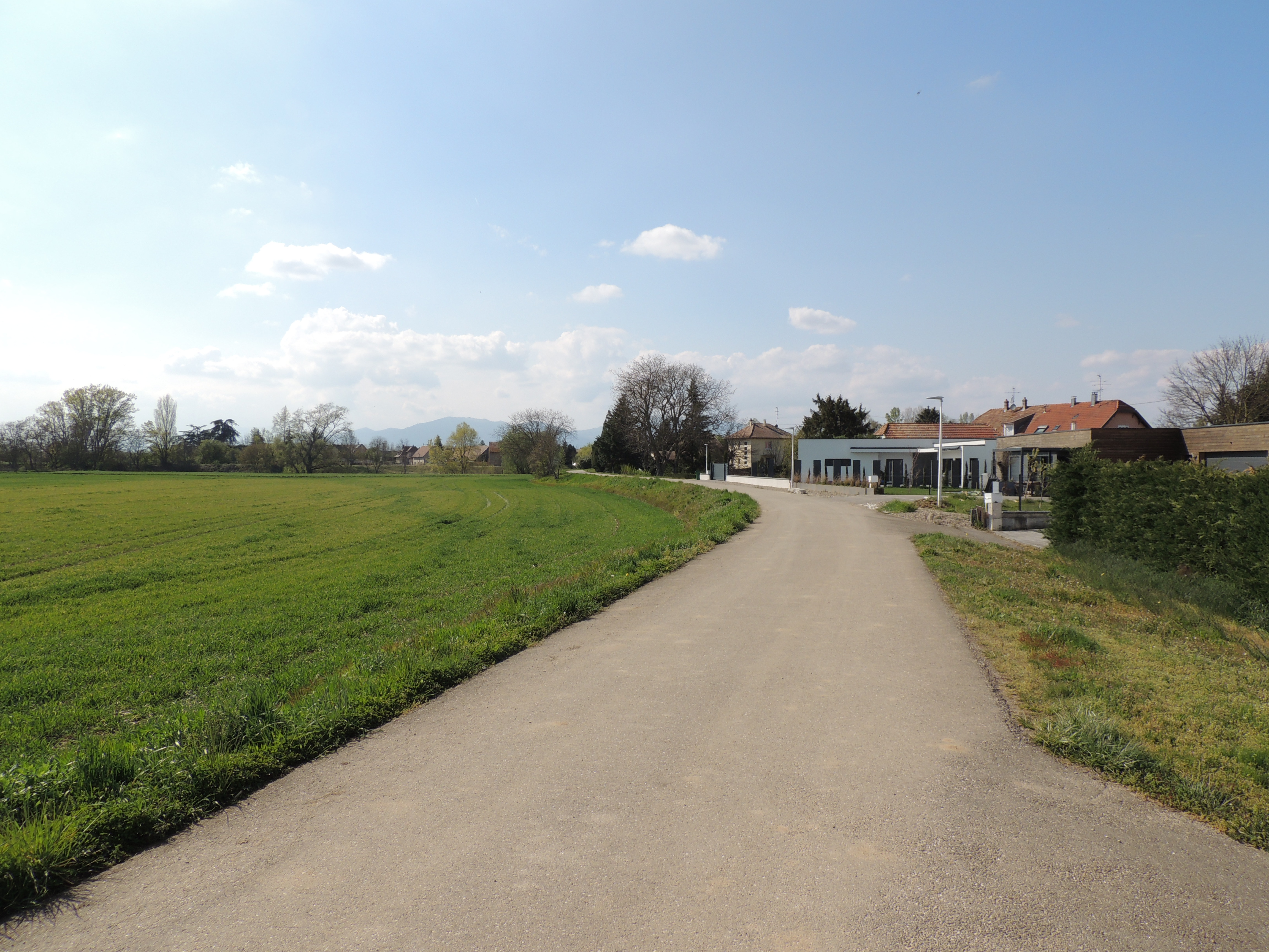 2021 Ruelisheim piste cyclable6