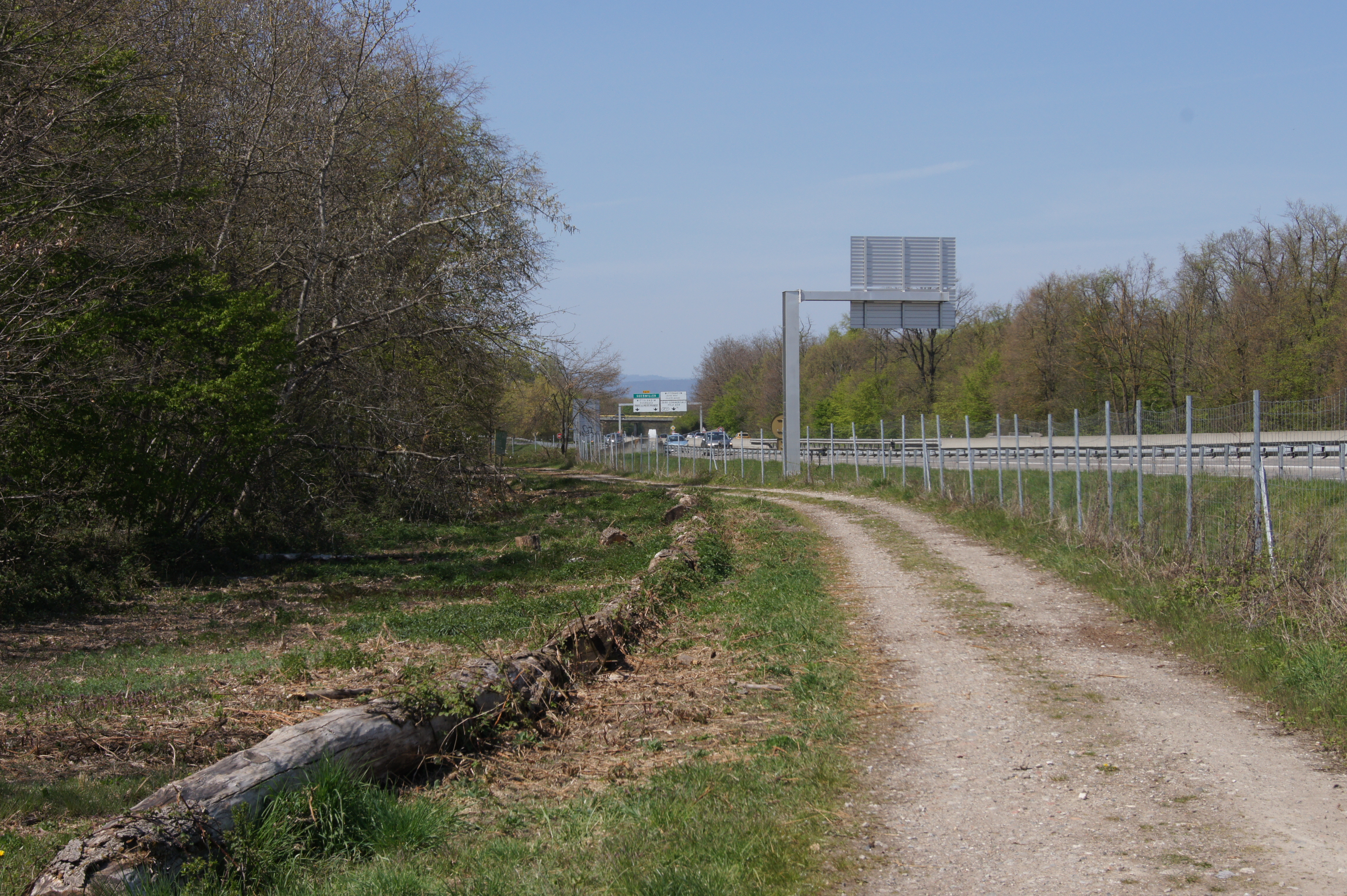 2021 Wittenheim Bois Nonnenbruch