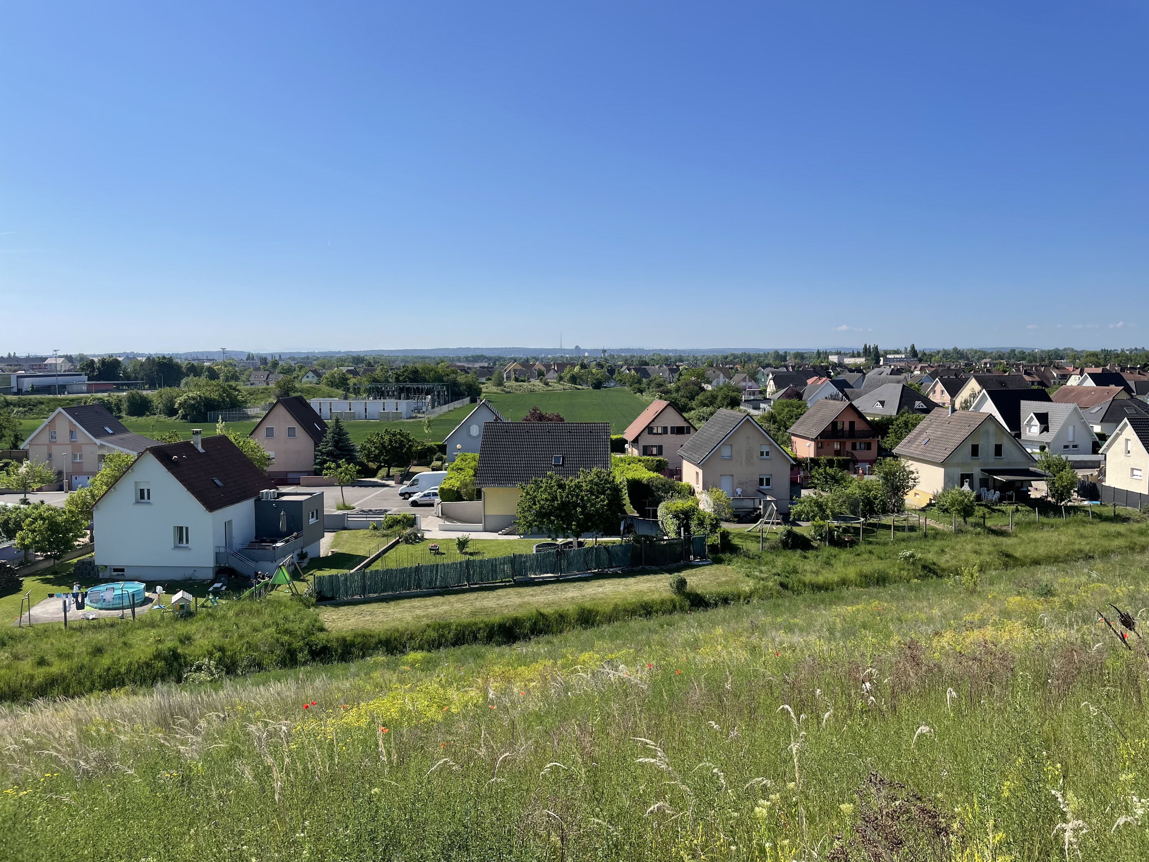 2022 Wittenheim terril Fernand biodiversité vosges foret-noire (1)