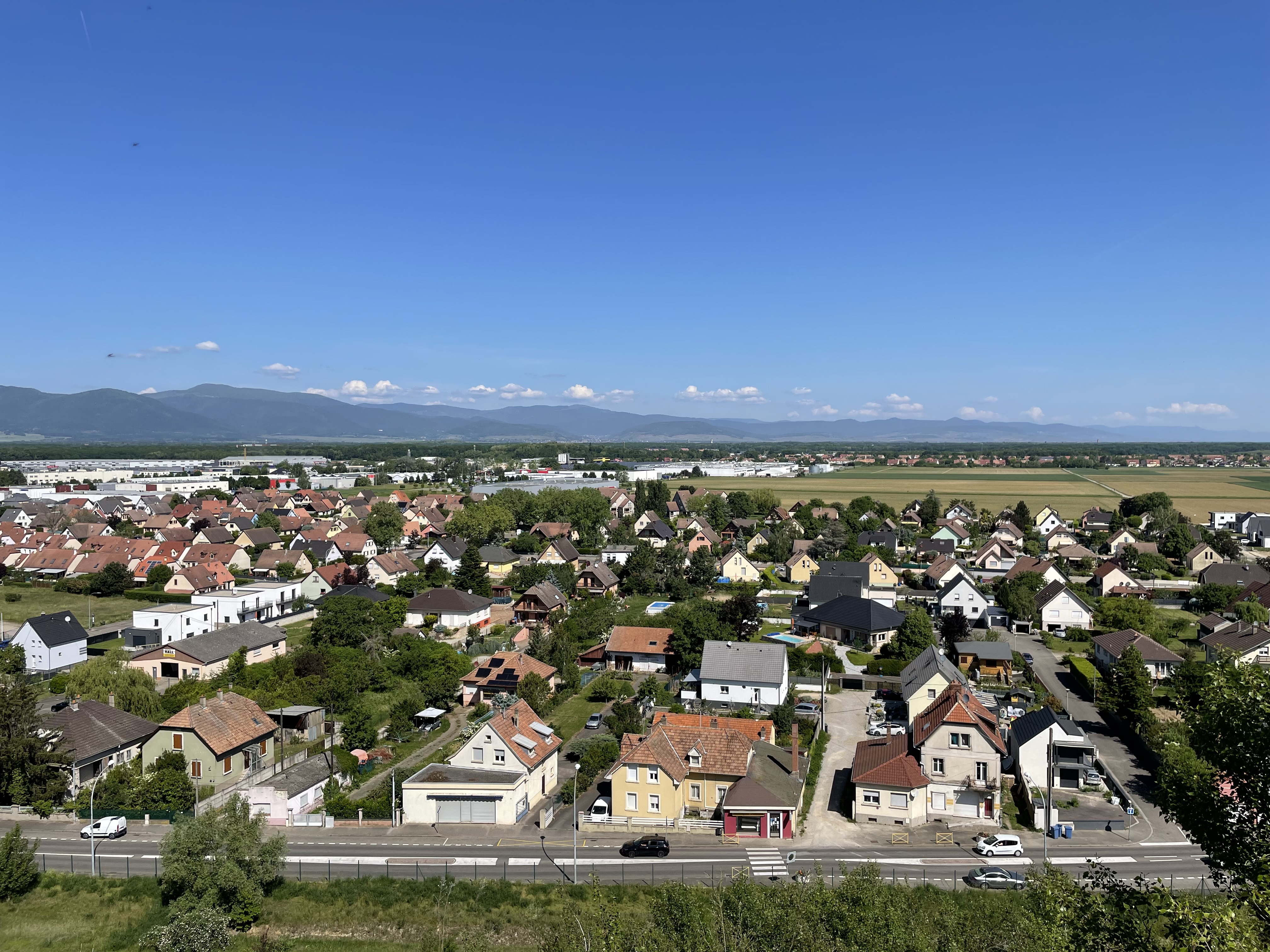 2022 Wittenheim terril Fernand biodiversité vosges foret-noire (2)