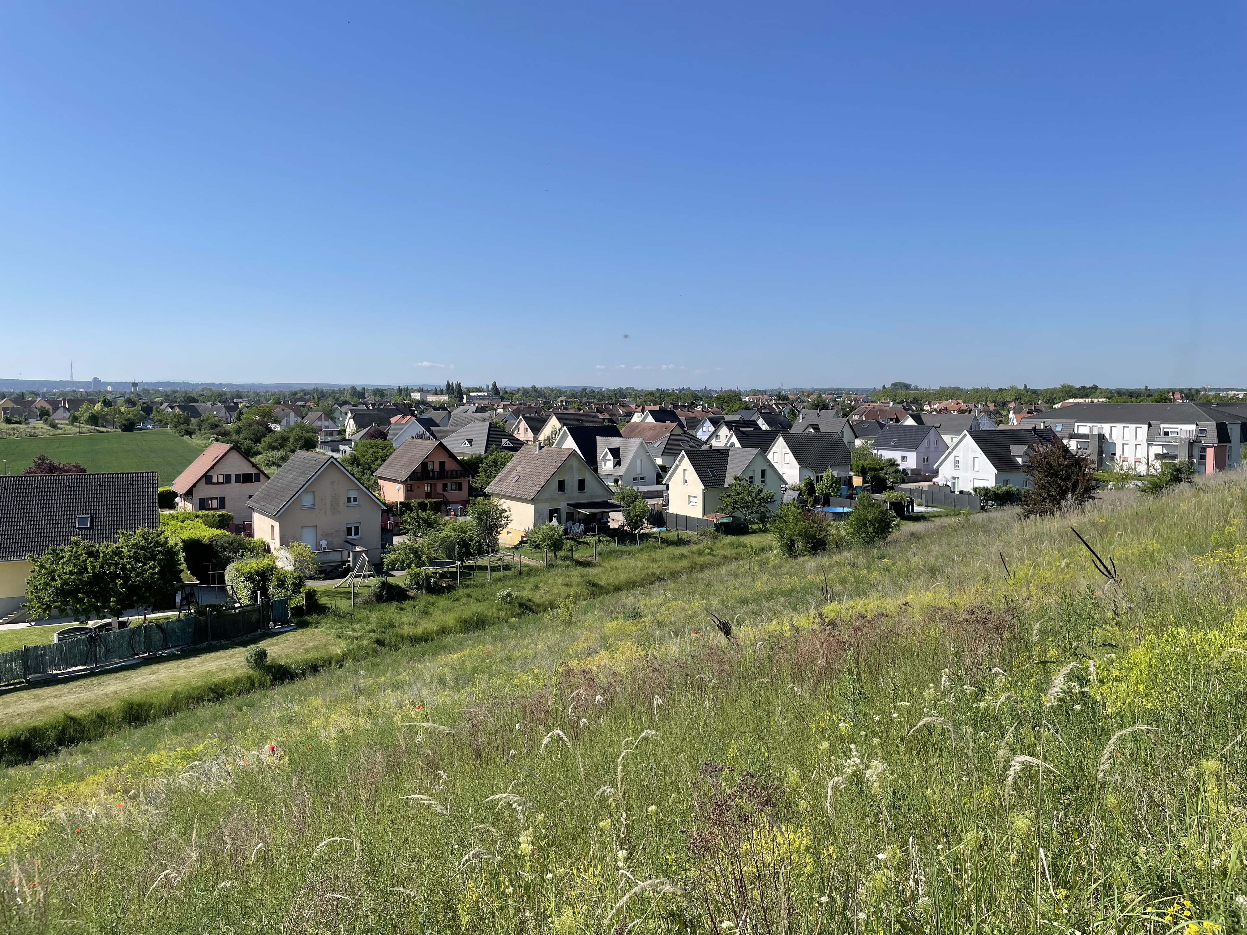 2022 Wittenheim terril Fernand panorama biodiversité vosges foret-noire (35)