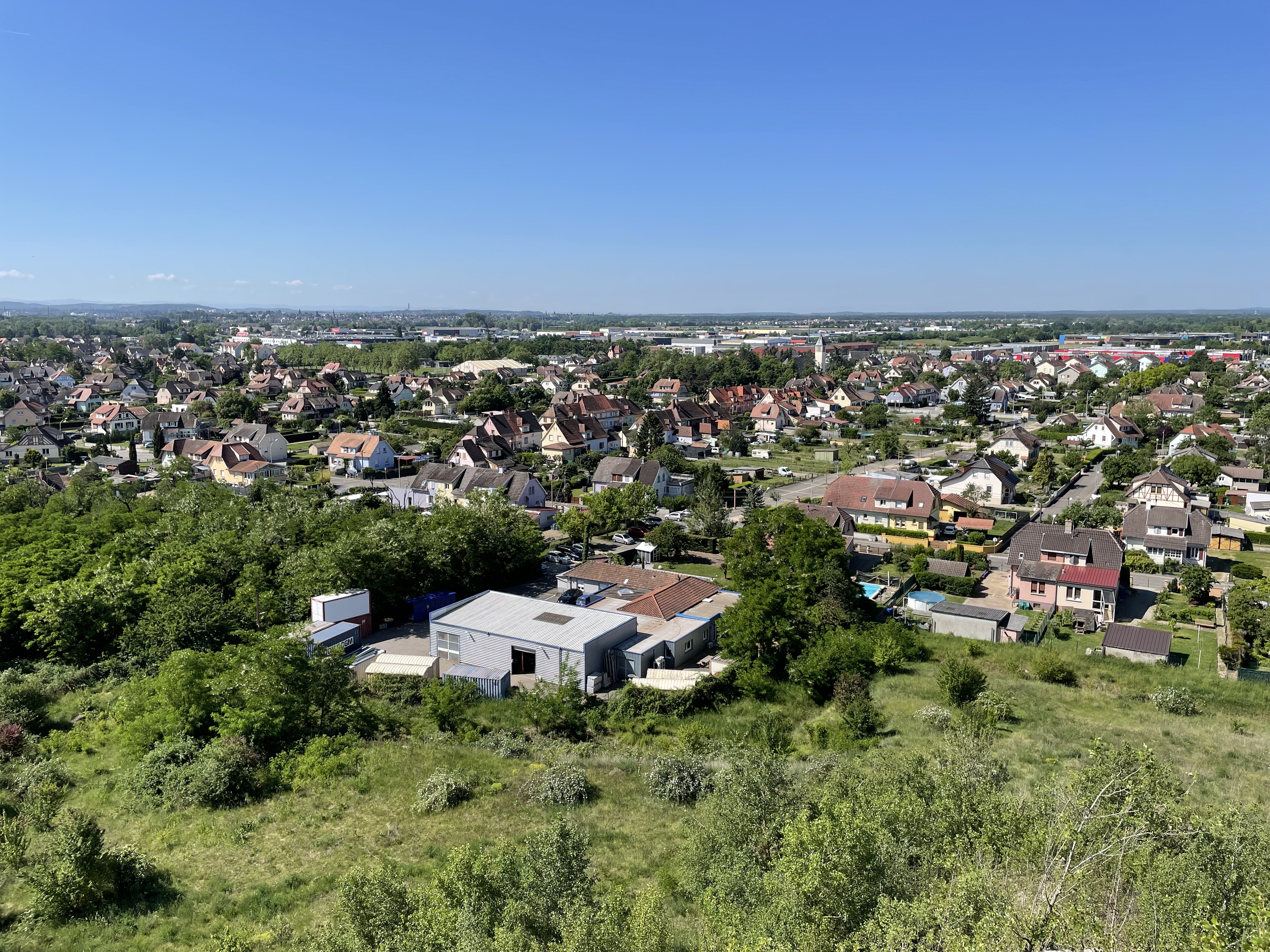 2022 Wittenheim terril Fernand panorama biodiversité vosges foret-noire (37)