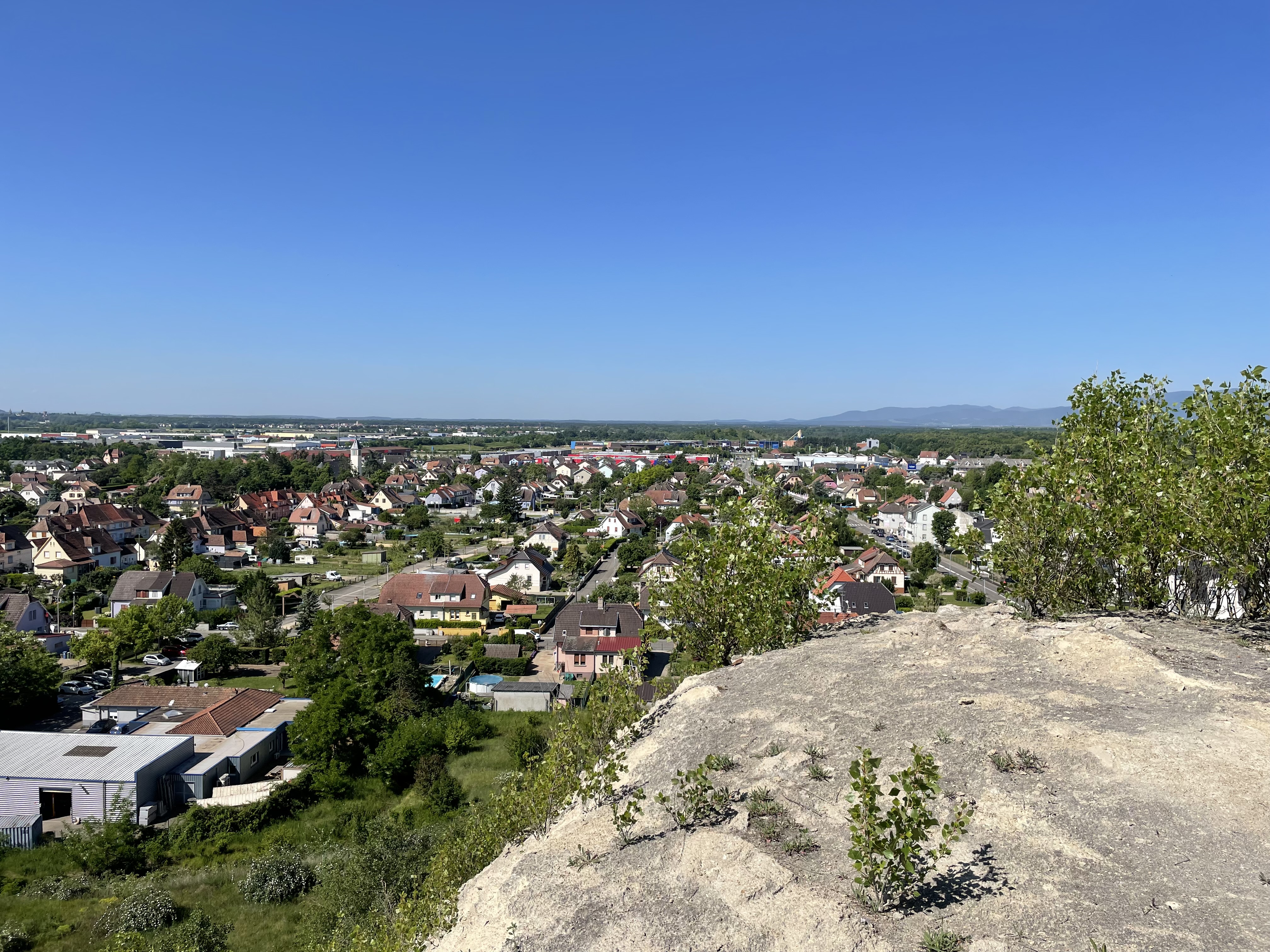 2022 Wittenheim terril Fernand panorama biodiversité vosges foret-noire (45)