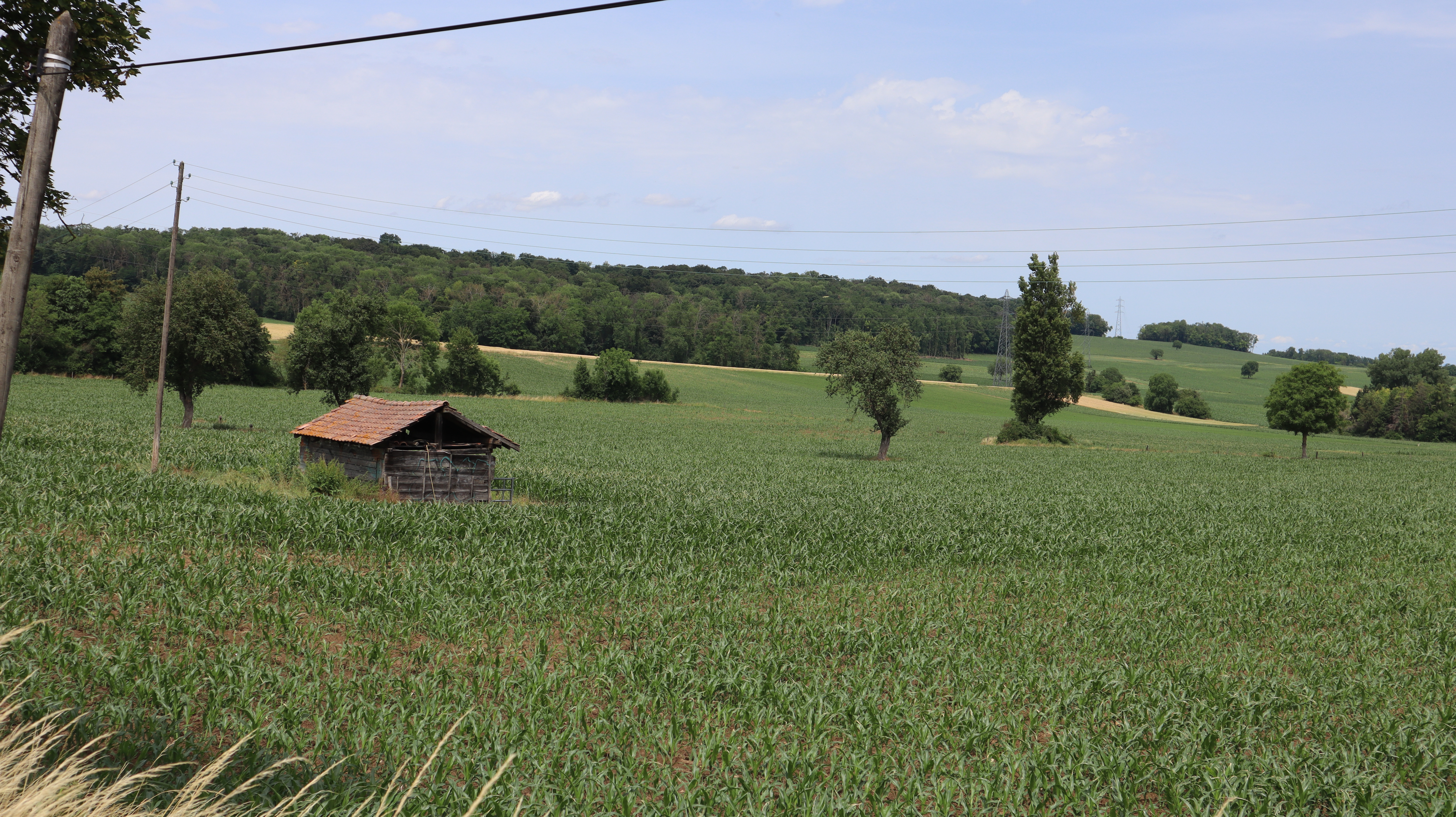 2023 Bruebach nord