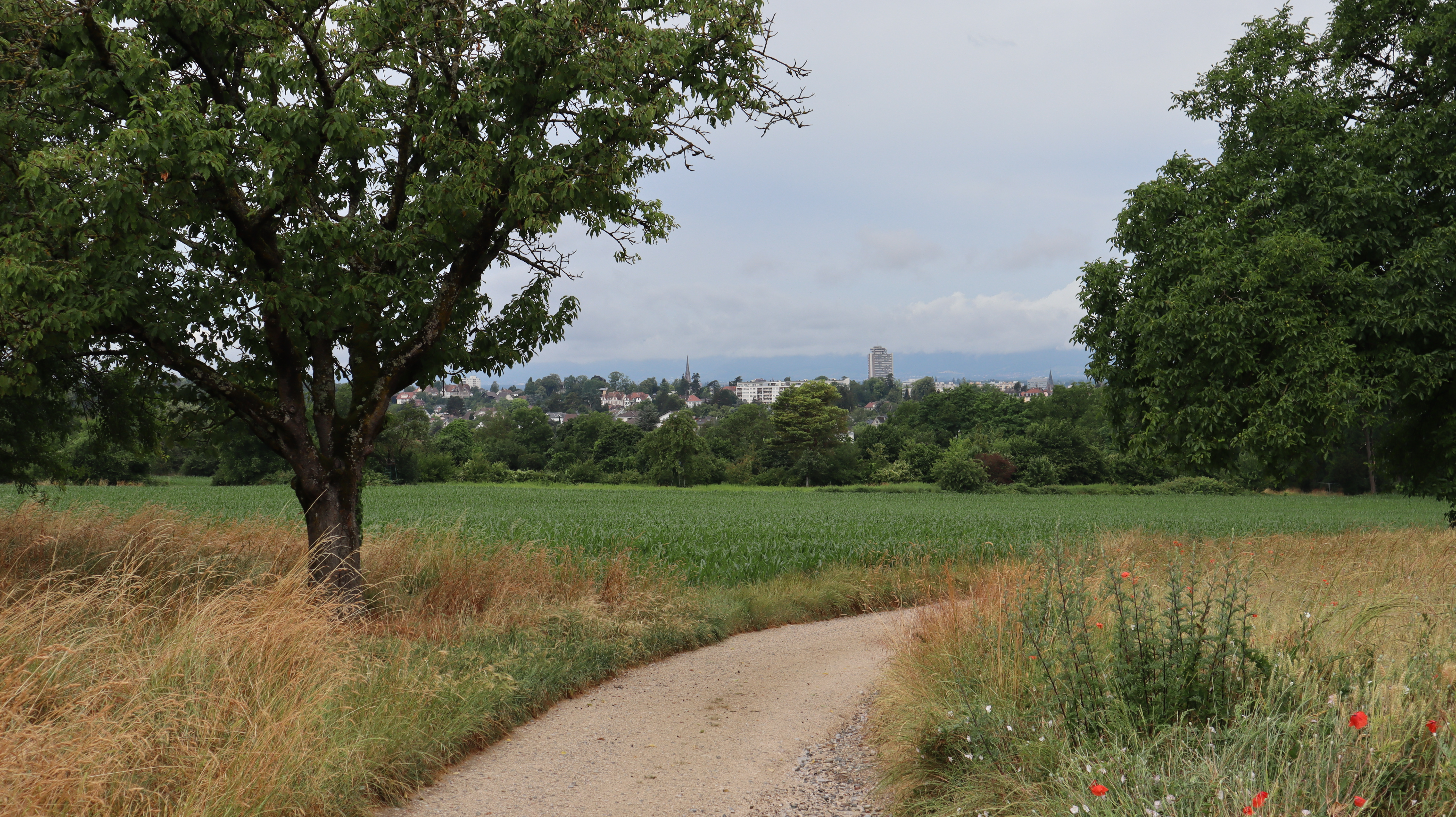 2023 Riedisheim vue Mulhouse