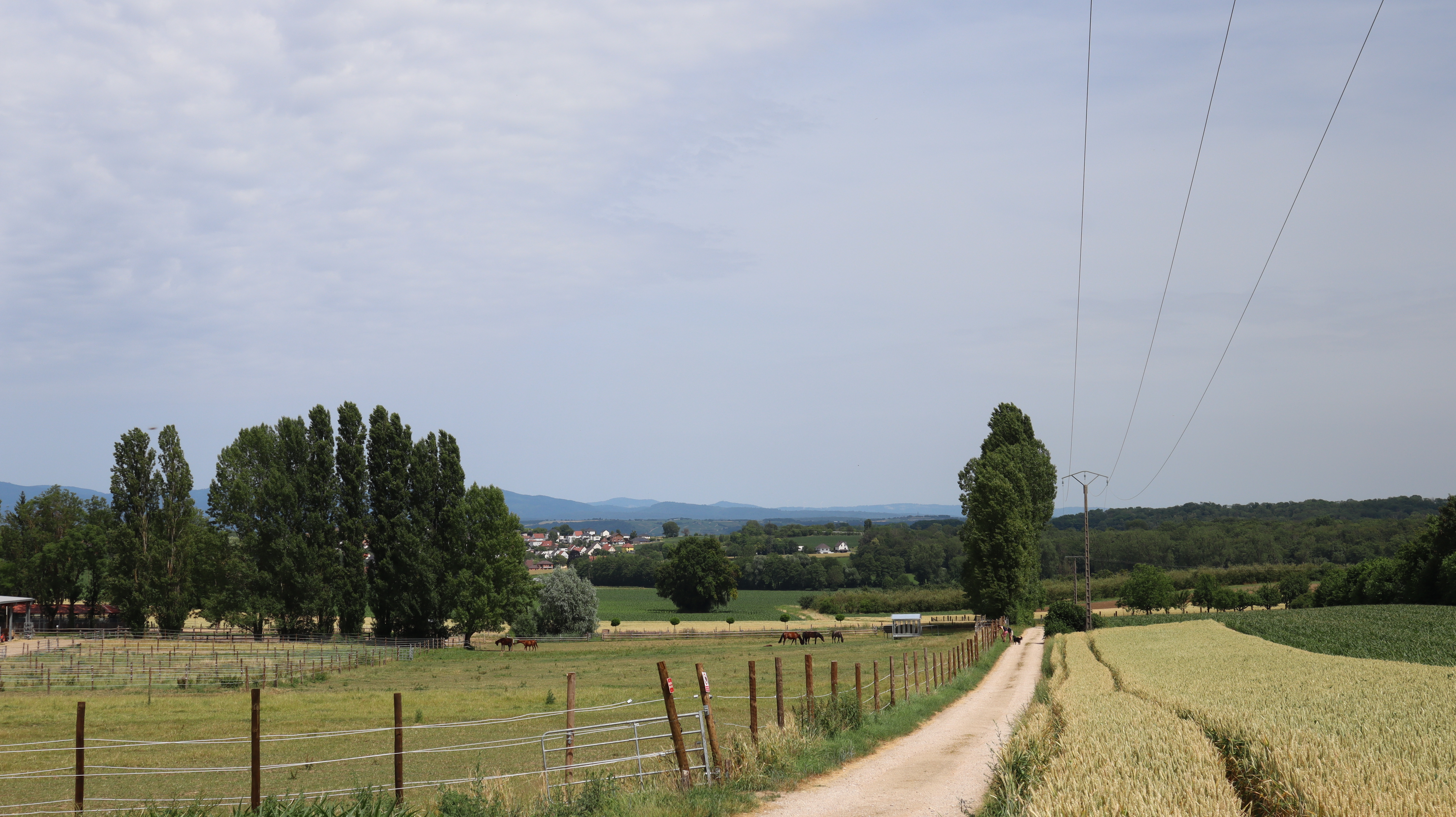 2023 Steinbrunn Le Bas centre équestre