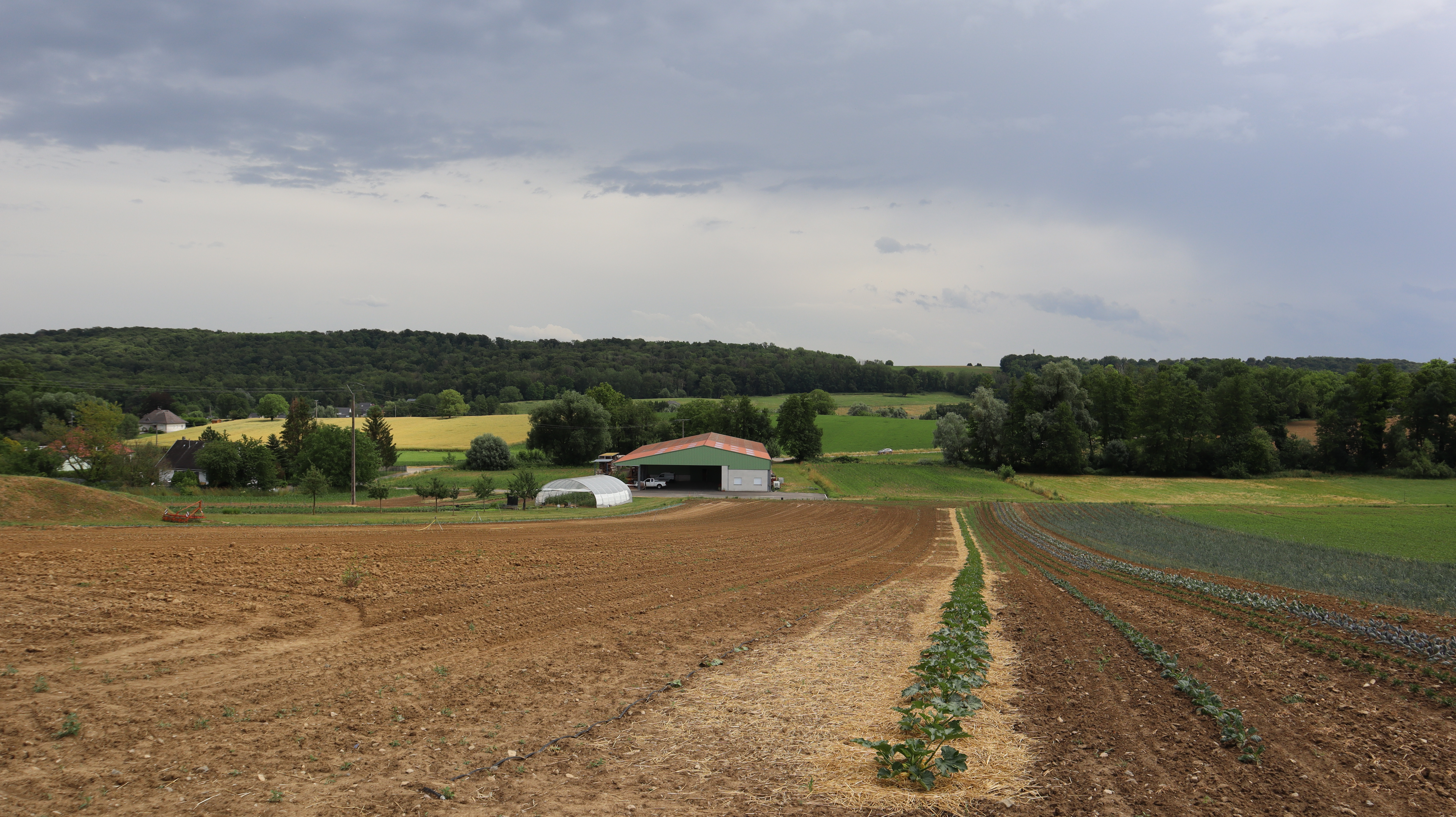 2023 Steinbrunn Le Bas ferme (1)