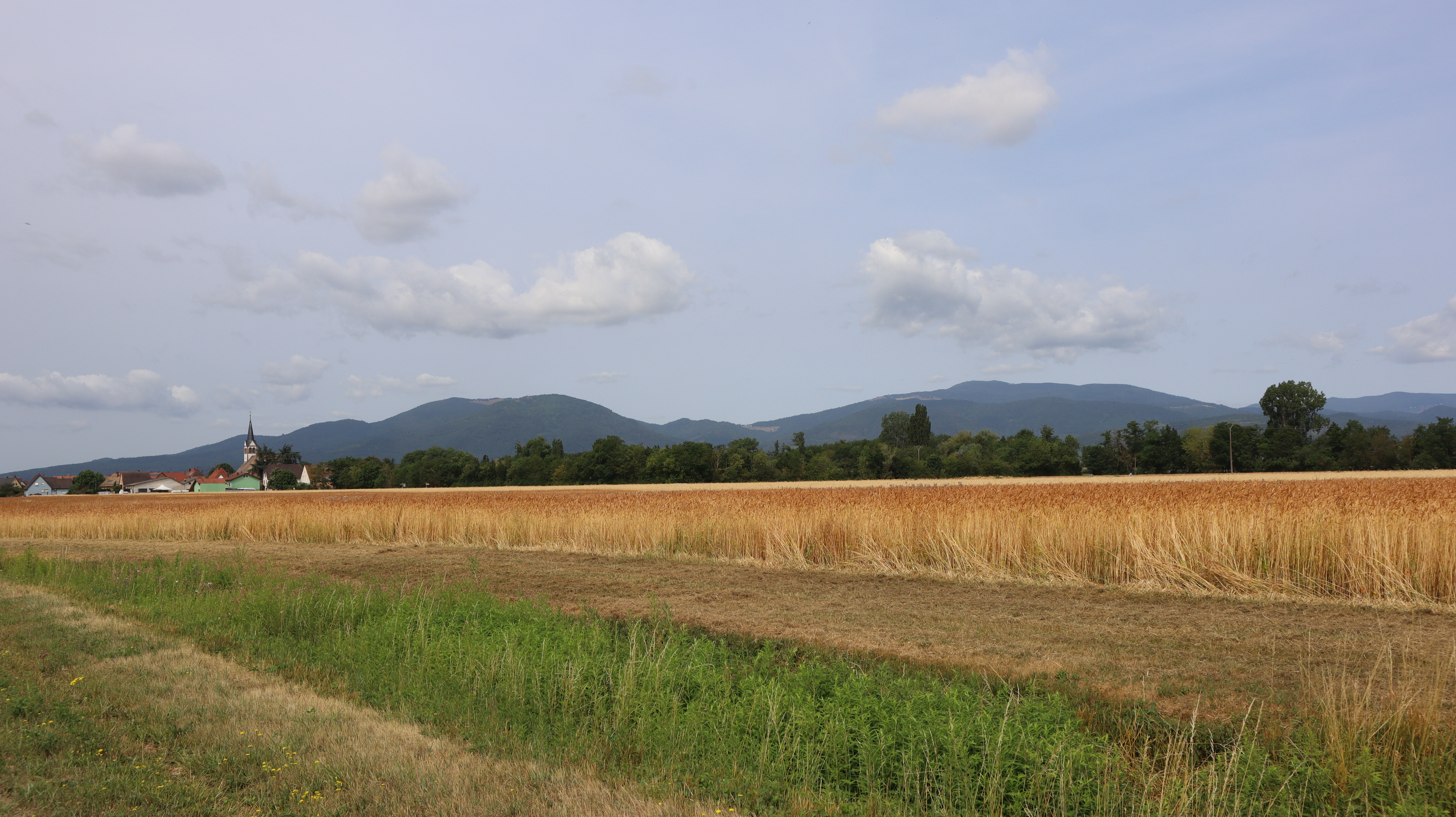 2023 Ungersheim vue feldkirch