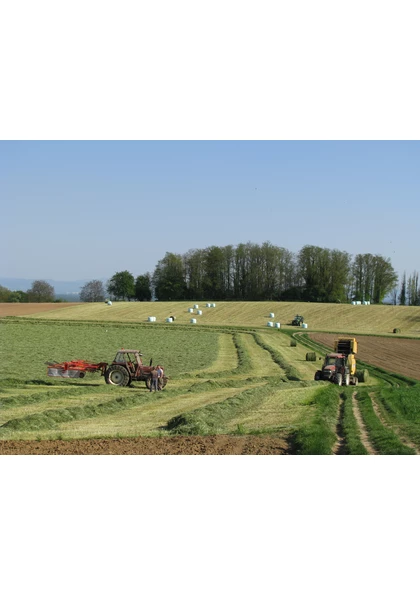 2008 Sundgau Agriculture