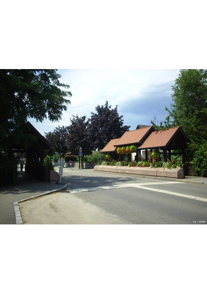 2009 Sausheim