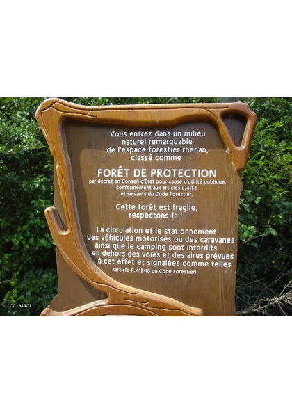 2009 Kingersheim ForêtDeProtection