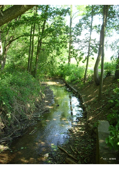 2009 Pfastatt RuisseauHagelbach