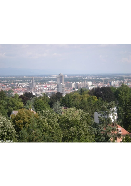 2010 Mulhouse PanoramaBelvedere