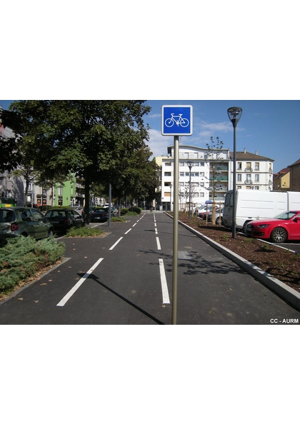 2010 Mulhouse PisteCyclable