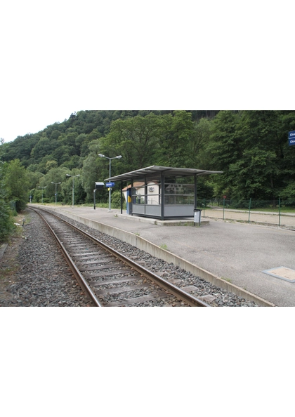 2011 Willer-sur-Thur stationtramtrain3