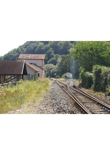 2011 Willer-sur-Thur stationtramtrain6