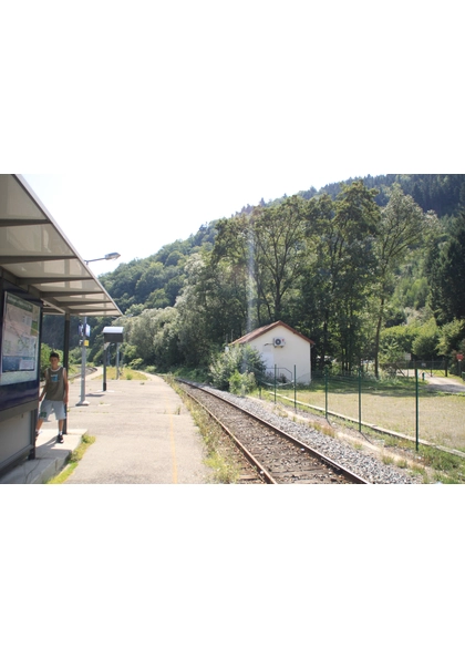 2011 Willer-sur-Thur stationtramtrain10