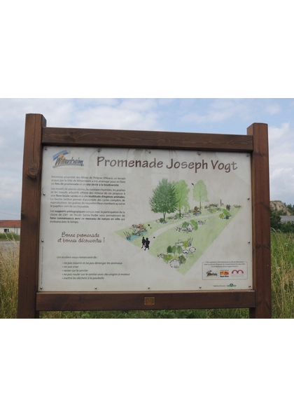 2013 Wittenheim PromenadeJosephVogt01