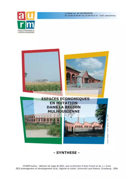 ESPACES ECONOMIQUES EN MUTATION DANS LA REGION MULHOUSIENNE - SYNTHESE - (Rapport de stage, diffusion limité)