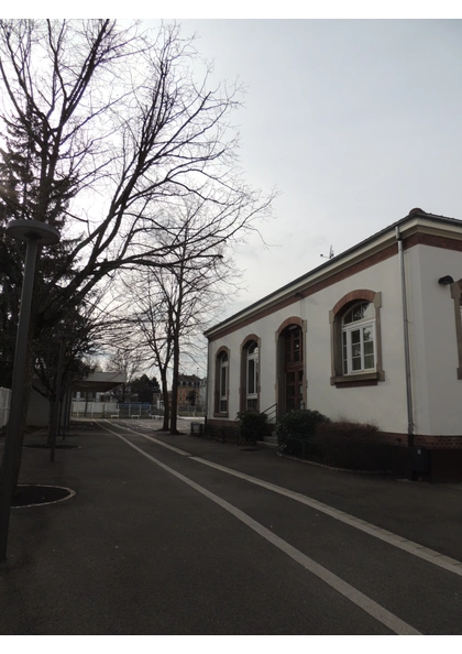 2016 Mulhouse école maternelle Loisy 5