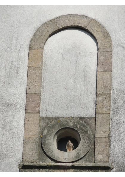 2014 Feldkirch façade de l'église 1