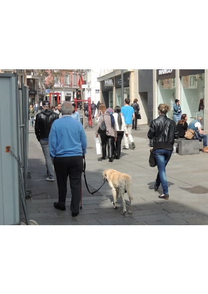 2014 Mulhouse homme et son chien 2