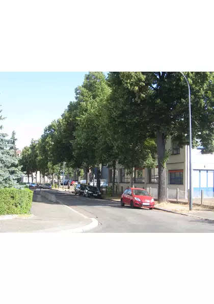 2015 Mulhouse quai de l'Alma rue 1