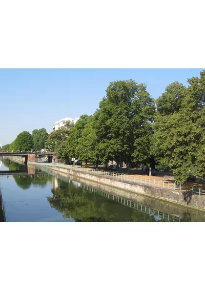 2015 Mulhouse quai d'Isly canal.