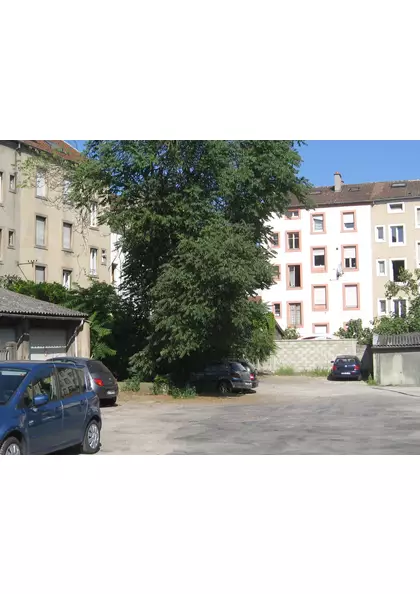 2015 Mulhouse rue de Bâle parking privé 5