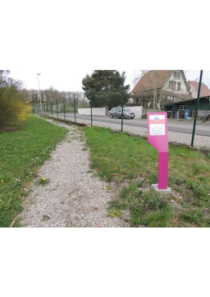 2015 Wittelsheim Kalivie pancarte jardin géologique