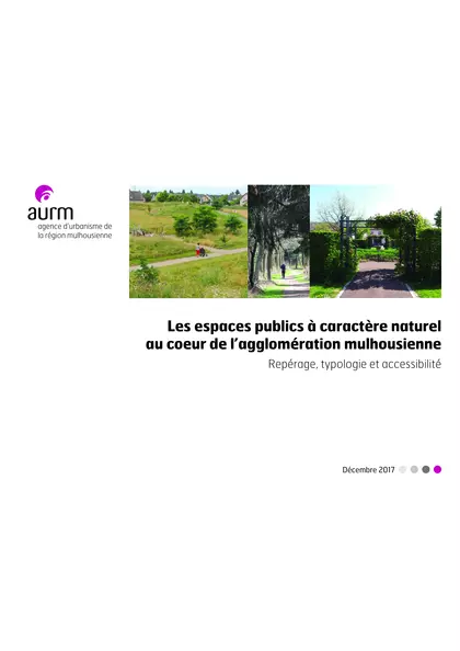 Les espaces publics à caractère naturel au coeur de l'agglomération mulhousienne : repérage, typologie et accessibilité