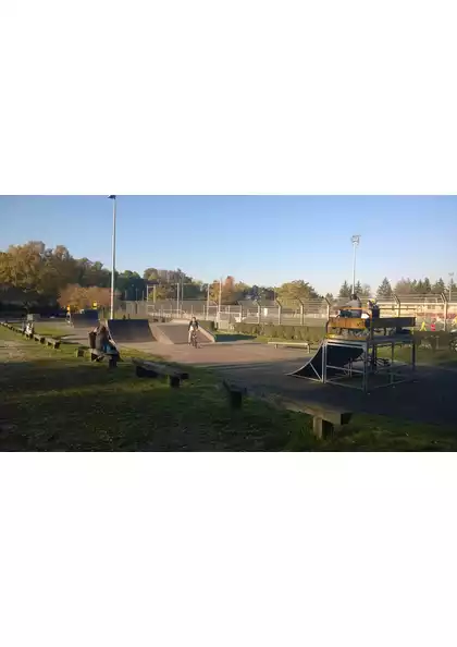 2017Riedisheim skatepark