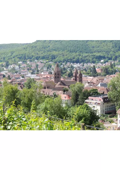 2017Guebwiller point de vue coteaux, vignobles, Dominicains