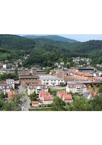 2017Guebwiller point de vue coteaux, vignobles, industrie