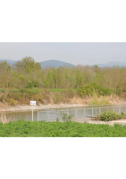 2017 Staffelden coulée-verte-carreau-Marie-Louise 1 (3)