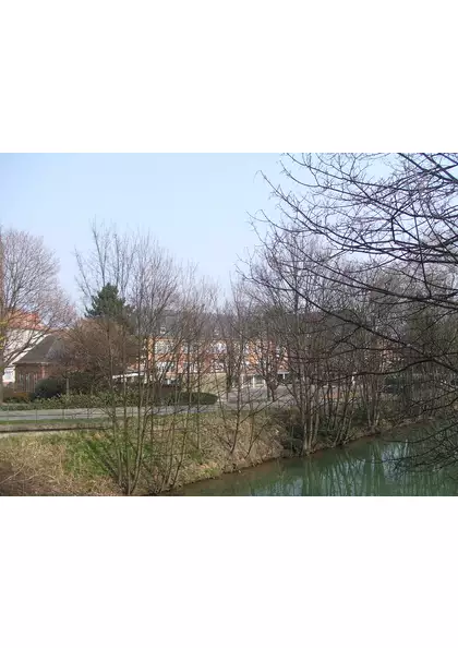 2006 Mulhouse Ecole côté Canal